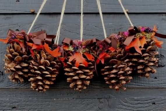 Fresh Pine Cones For Thanksgiving , Fresh Pine Cones , Thanksgiving , Pine Cones For Thanksgiving , Pine Cones