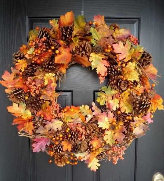 Fresh Pine Cones For Thanksgiving , Fresh Pine Cones , Thanksgiving , Pine Cones For Thanksgiving , Pine Cones