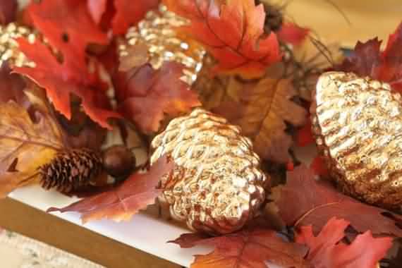 Fresh Pine Cones For Thanksgiving , Fresh Pine Cones , Thanksgiving , Pine Cones For Thanksgiving , Pine Cones