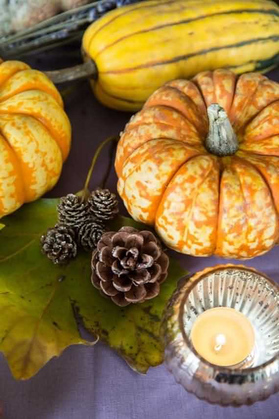 Fresh Pine Cones For Thanksgiving , Fresh Pine Cones , Thanksgiving , Pine Cones For Thanksgiving , Pine Cones