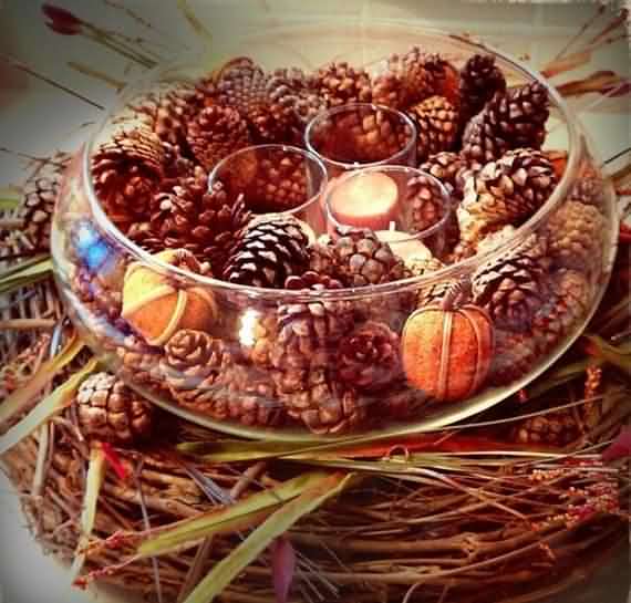 Fresh Pine Cones For Thanksgiving , Fresh Pine Cones , Thanksgiving , Pine Cones For Thanksgiving , Pine Cones