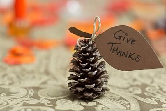 Fresh Pine Cones For Thanksgiving , Fresh Pine Cones , Thanksgiving , Pine Cones For Thanksgiving , Pine Cones