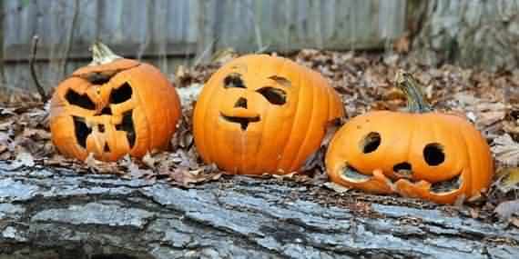 pumpkin decorating ideas for Halloween , pumpkin decorating ideas , Halloween , pumpkin, decorating ideas for Halloween, pumpkin decorating , pumpkin craving