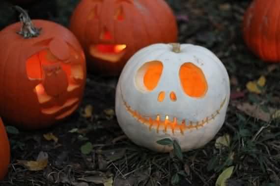 pumpkin decorating ideas for Halloween , pumpkin decorating ideas , Halloween , pumpkin, decorating ideas for Halloween, pumpkin decorating , pumpkin craving