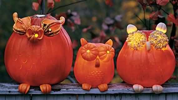 pumpkin decorating ideas for Halloween , pumpkin decorating ideas , Halloween , pumpkin, decorating ideas for Halloween, pumpkin decorating , pumpkin craving