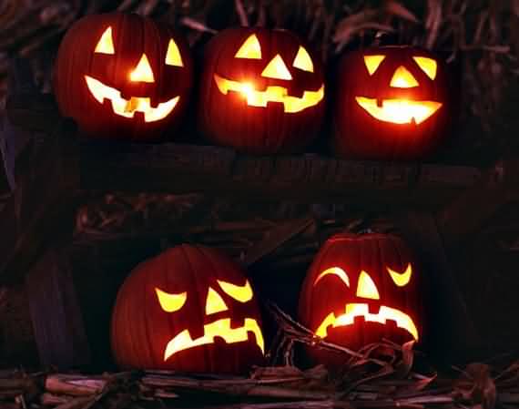 Halloween Pumpkin Carving Ideas, Pumpkin Carving Ideas, Pumpkin Carving, Halloween, Pumpkin, Carving, Carving Ideas 