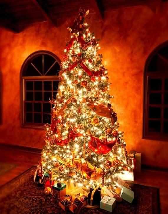 Christmas Tree Gorgeous Decorations Ideas | 4 UR Break - Family ...